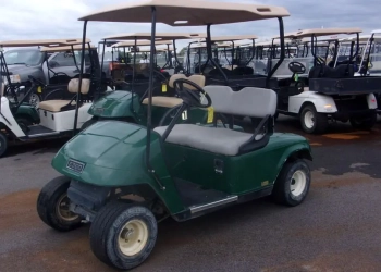 2008 E-Z-GO Electric 2 Golf Cart for Sale