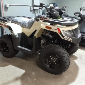 2024 Arctic Cat® Alterra 300