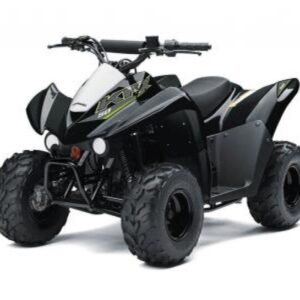2019 Kawasaki Brute Force 750 4x4i EPS