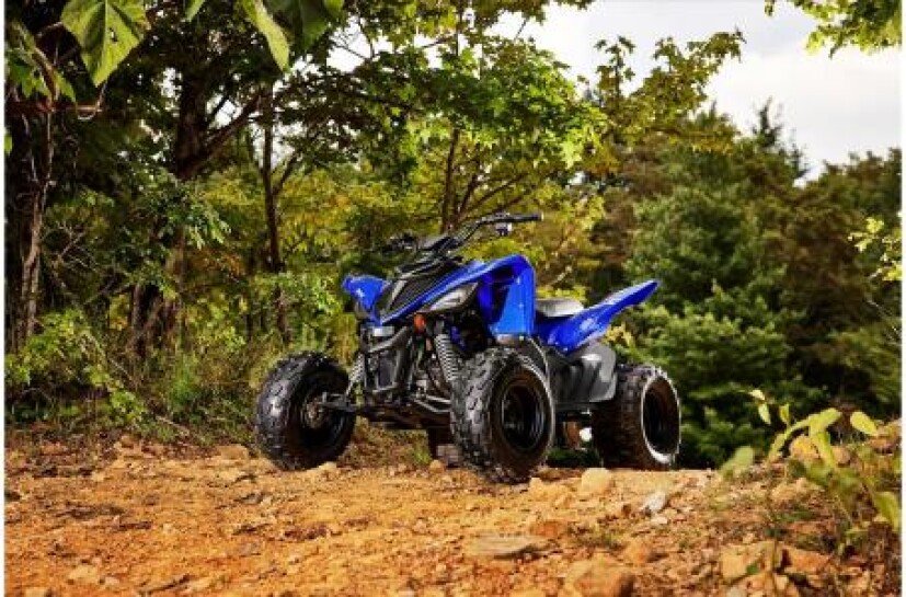 New 2022 Yamaha Raptor 90 For Sale - Image 12