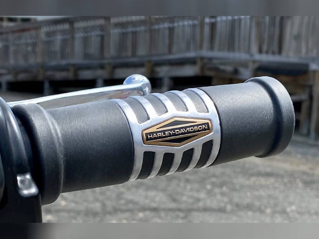 Rare 2022 117 ci Gunship Gray Low Rider S - Image 13