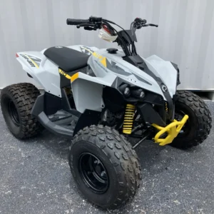 Pre-Owned 2024 Can-Am Renegade 110 EFI For Sale