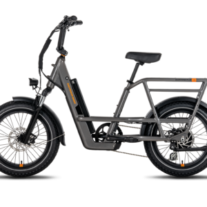 RadRunner 3 Plus Electric Utility Bike